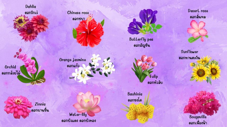 คำศัพท์ภาษาอังกฤษหมวดดอกไม้